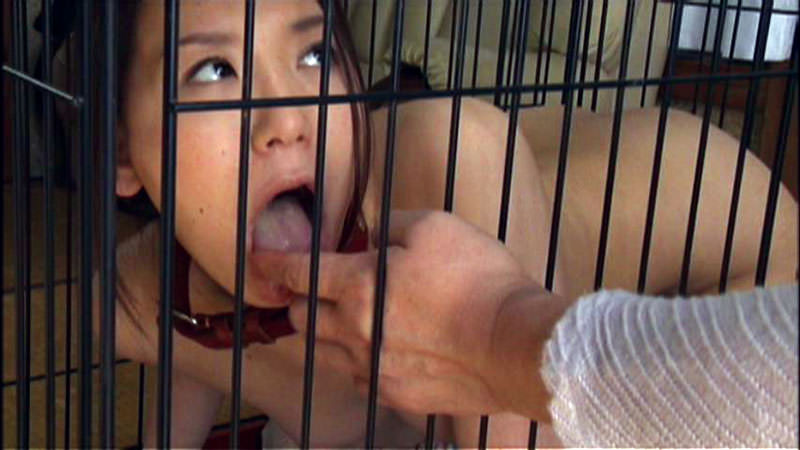 凌辱（やる） メス犬にして凌辱