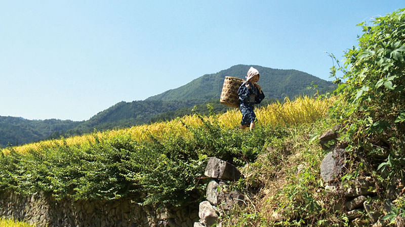ヘンリー塚本　変態村（よばい）　・夜明けの夜這い・夜這い村の毛深い娘・四十路後家の夜這い・山の中の色気ちがい嫁