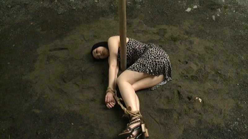 ヘンリー塚本原作　人妻変態痴女　公衆便所SEX