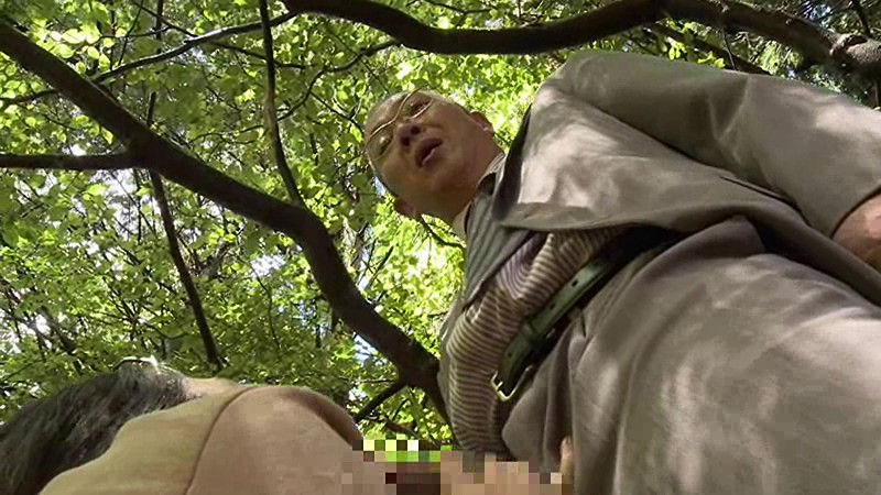 ヘンリー塚本原作　性犯罪　刑法177条　常習犯 連続暴行魔　権藤平八の犯罪/忍び込み暴行　真昼の侵入者/山中暴行　不倫情交中の悪夢